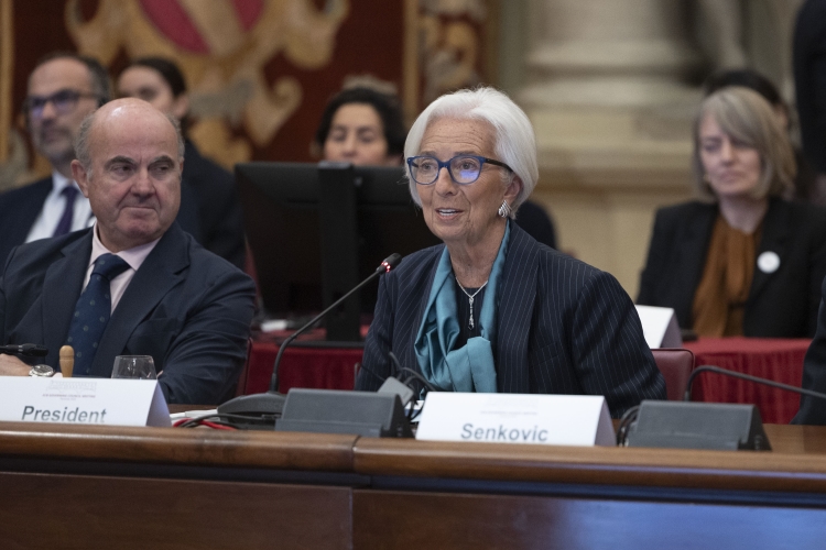 Il Presidente della Repubblica Sergio Mattarella a Palazzo Corsini in occasione della riunione con il Consiglio Direttivo della BCE
